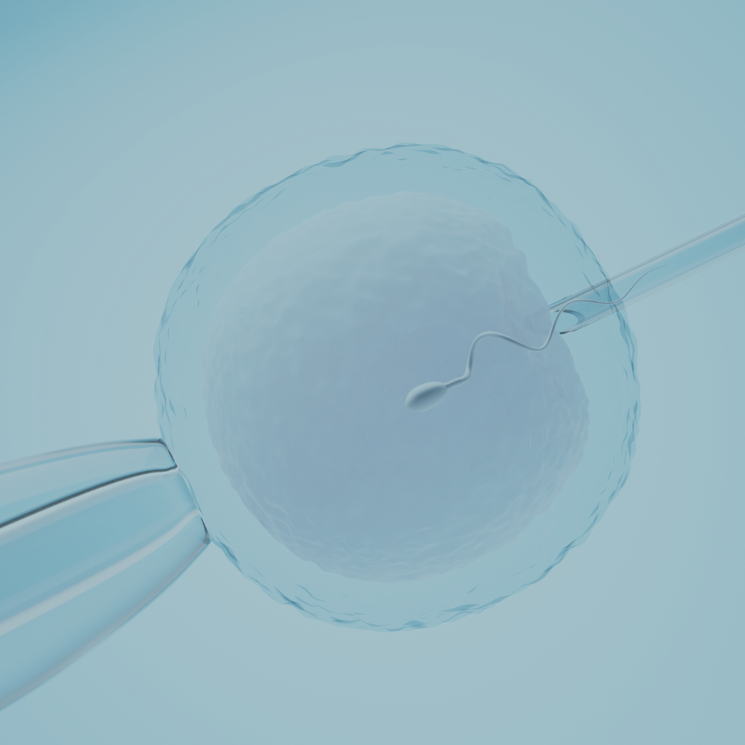 ¿Qué es la fertilización in vitro?